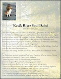 Avis de d&eacute;c&egrave;s Kavik River Soul Dabsi, Uitikon