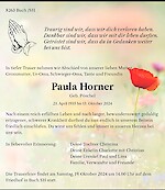 Todesanzeige Paula Horner, Buch